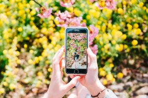 ショート動画制作